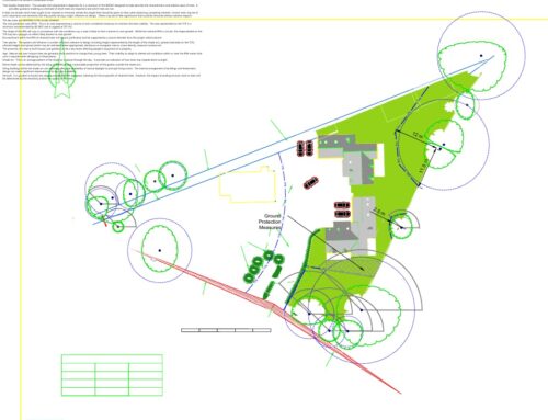 Arboricultural Surveys